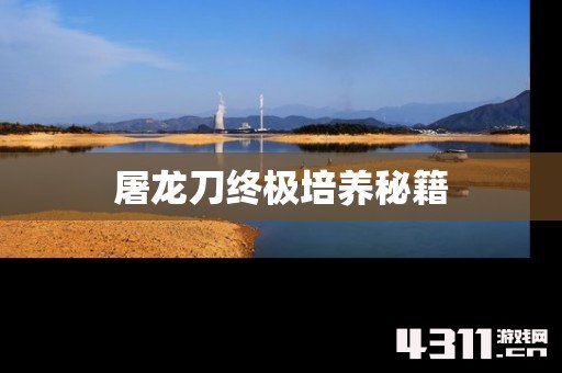 屠龙刀终极培养秘籍