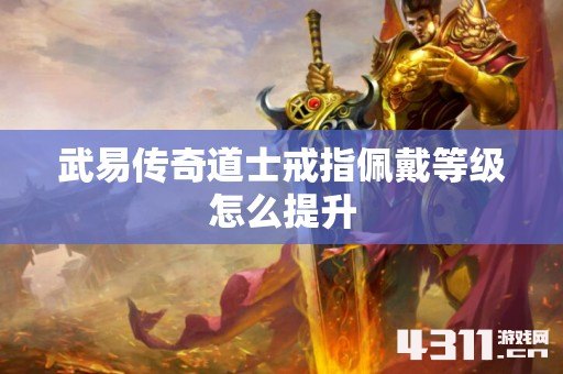 武易传奇道士戒指佩戴等级怎么提升