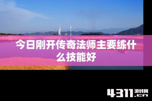 今日刚开传奇法师主要练什么技能好
