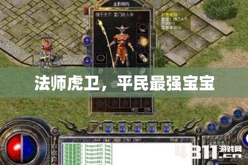 法师虎卫，平民最强宝宝