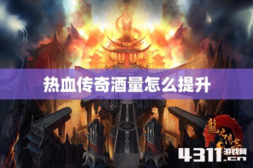 热血传奇酒量怎么提升