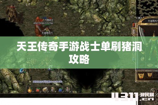 天王传奇手游战士单刷猪洞攻略