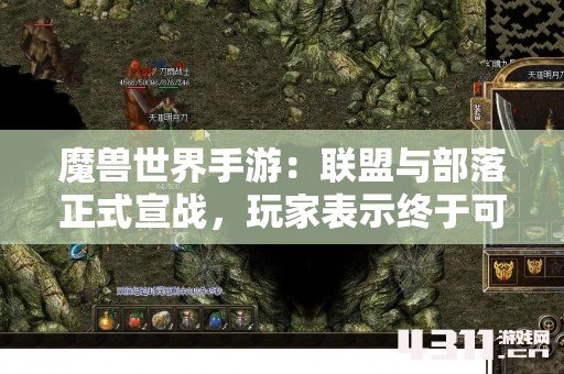 魔兽世界手游：联盟与部落正式宣战，玩家表示终于可以干架了