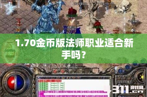 1.70金币版法师职业适合新手吗？