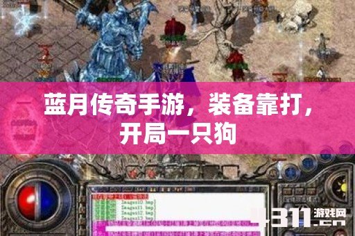 蓝月传奇手游，装备靠打，开局一只狗